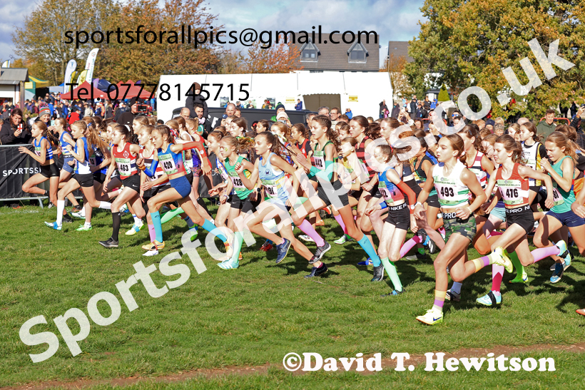 Girls Under-13s 2025 National Cross Country Relays, Berry Hill Park, Mansfield. Photo: David T. Hewitson/Sports for All Pics